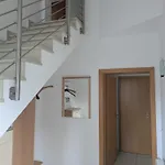 Ronja * Bünde