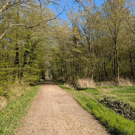 Lejlighed Ronja Bünde