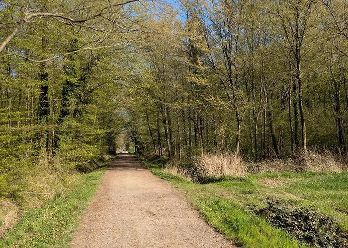 Lägenhet Ronja Bünde